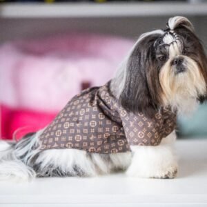 Camisa Fashion Louis Vuitton