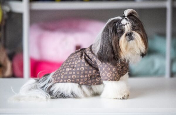 Camisa Fashion Louis Vuitton