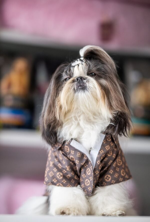 Camisa Fashion Louis Vuitton - Imagem 2