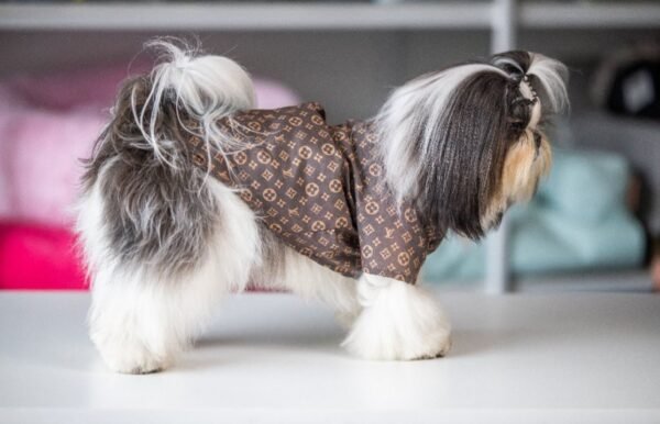 Camisa Fashion Louis Vuitton - Imagem 3