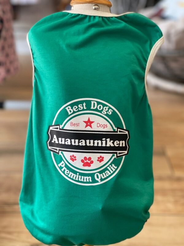 Regata AuAuAuNiken