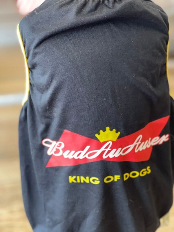 Regata BudAuAuser - Imagem 3