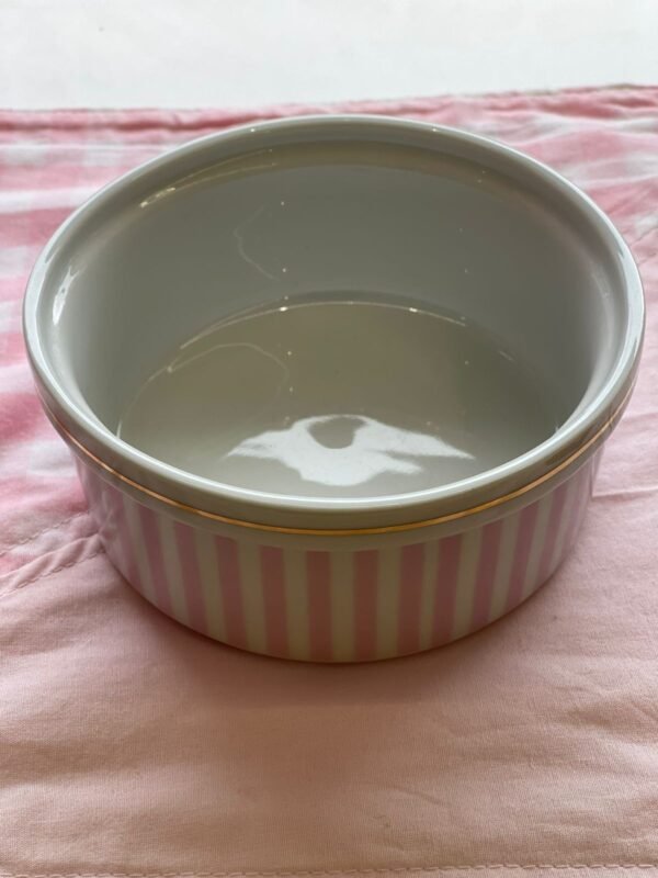 Comedouro Porcelana - Imagem 3