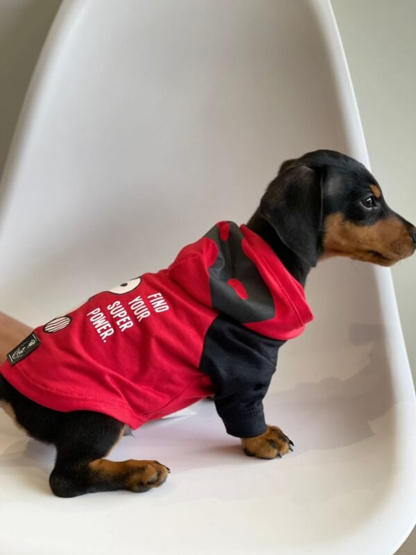Camiseta Manga Longa Snoopy Hero Vermelha - Imagem 2