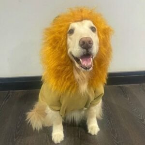 Moletom Leão Rei da Selva