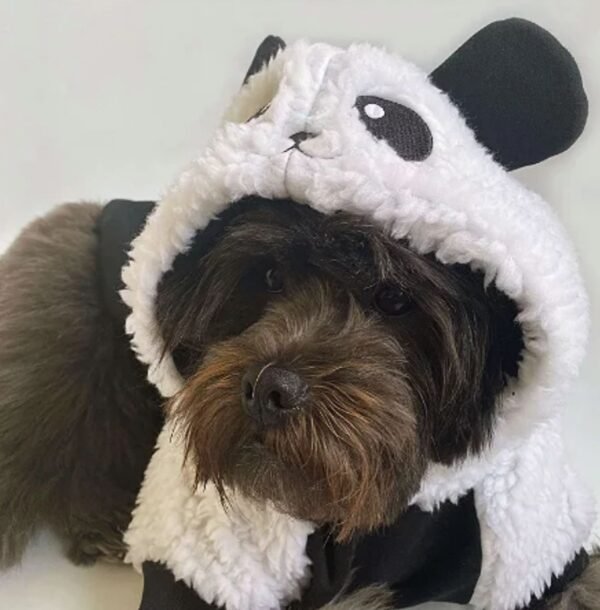 Moletom Panda - Imagem 3