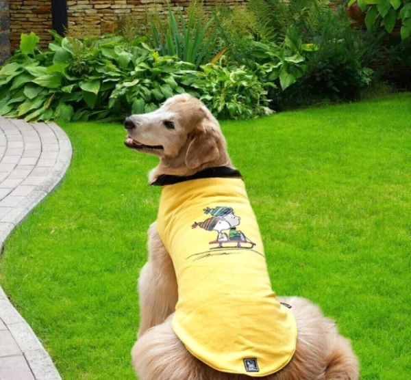 Colete Snoopy Linus Sled Vest