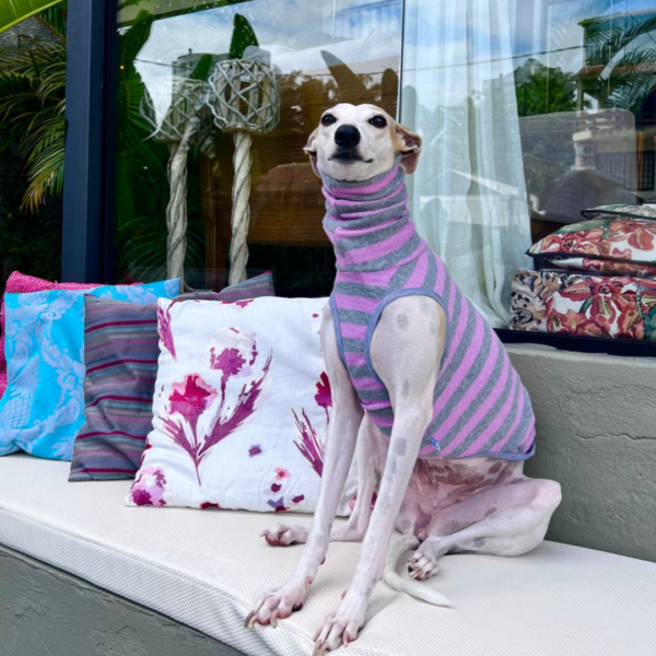 Regata Galgo - Imagem 4