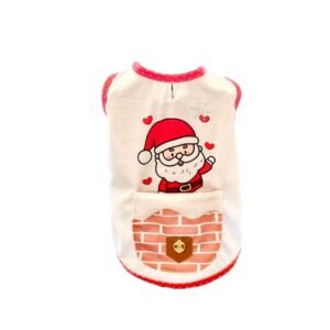 Regata Noel